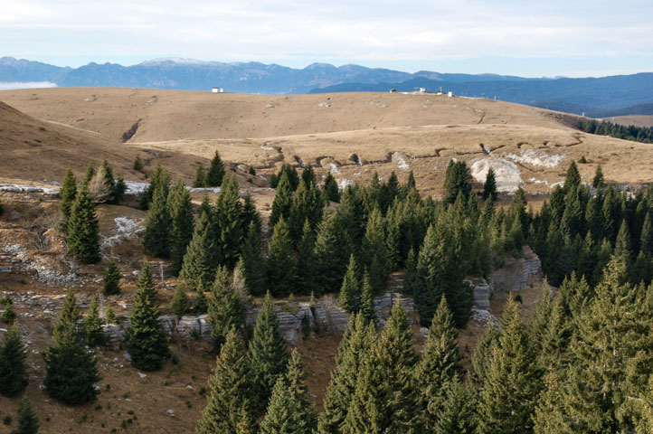 trincee altipiani di asiago